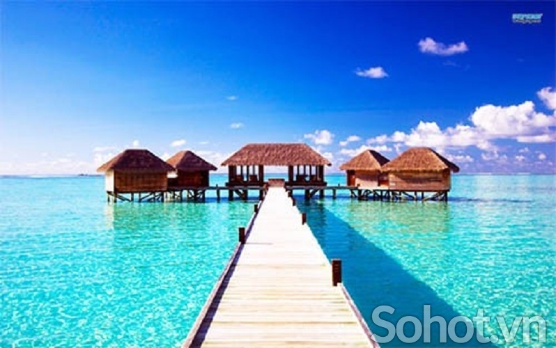 gạch 3d ốp tường cảnh biển
