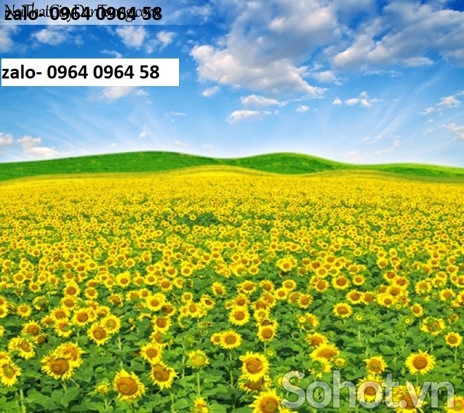 Tranh gạch 3d phong cảnh hoa cỏ thiên nhiên - 063XC