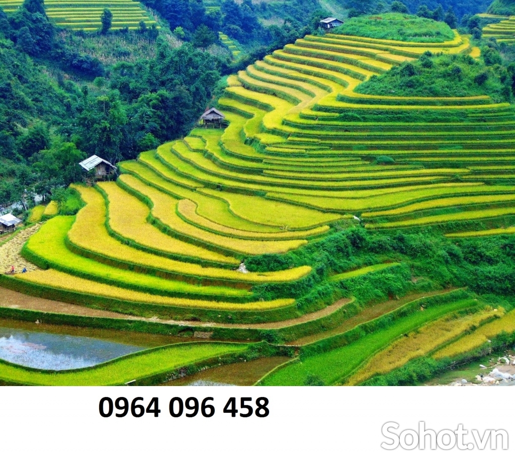 tranh 3d - tranh gạch 3d mệnh kim - AVV5
