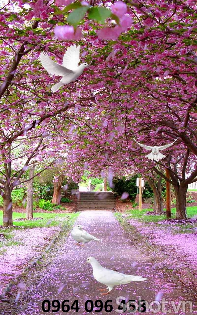 Tranh gạch 3d ốp tường hoa đào 3d - 6555CVV