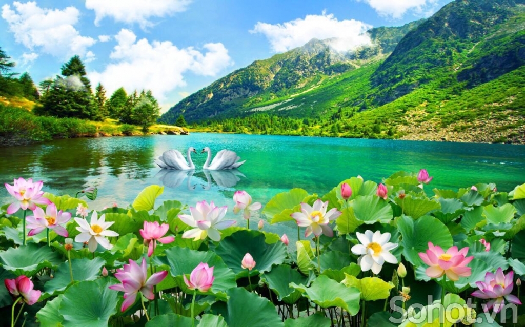 Tranh hoa sen 3d - tranh gạch 3d hoa sen - 83DP
