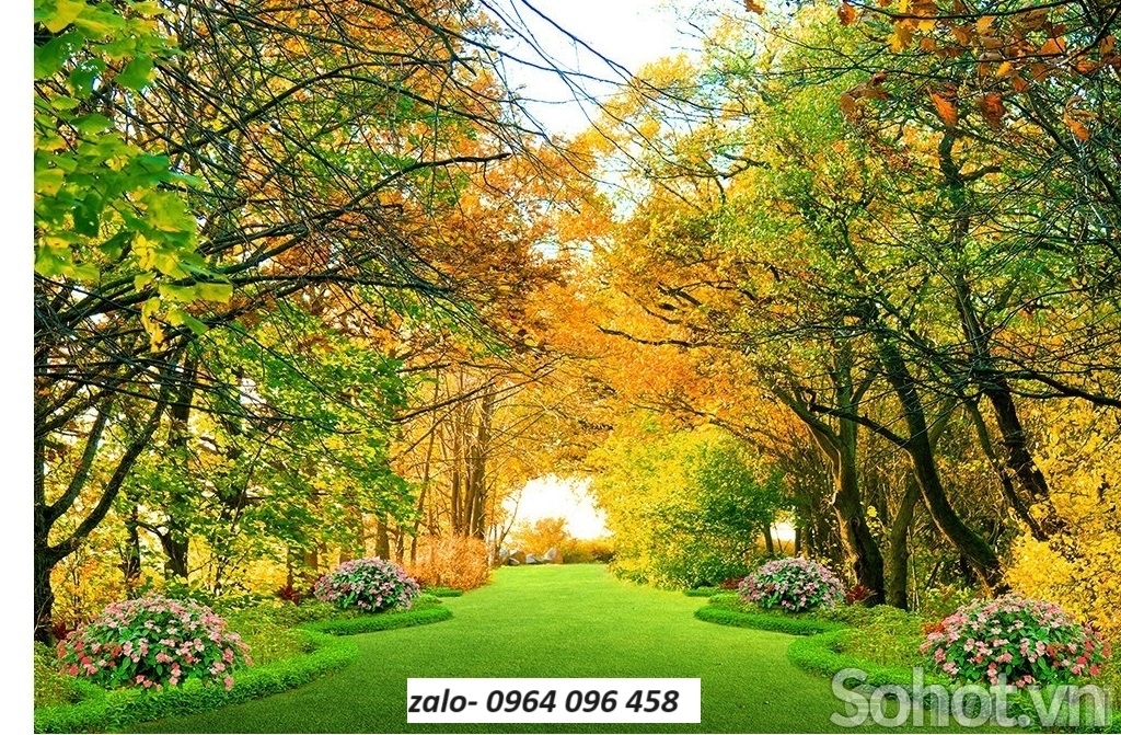 Tranh gạch 3d rừng cây - gạch tranh 3d rừng cây - SXC55