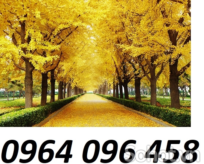 Tranh gạch 3d rừng cây lá vàng - 543X