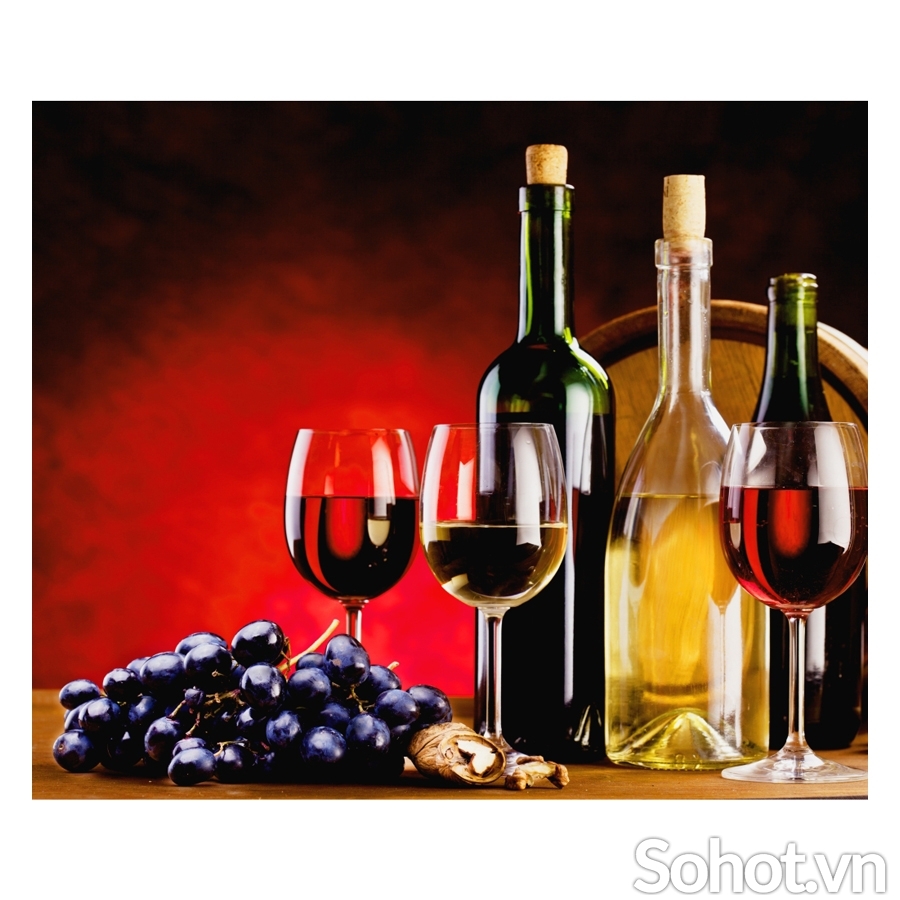 Tranh gạch 3d ốp tường phòng bếp -XNN65