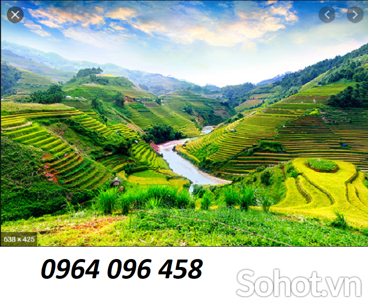 Tranh gạch 3d ruộng bậc thang - 222XM
