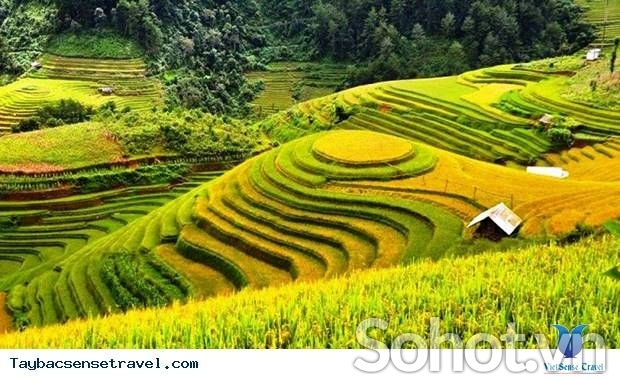 tranh 3d - tranh gạch 3d - gạch tranh 3d - DC88