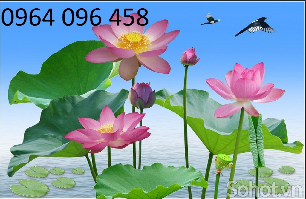 Gạch tranh ốp tường 3d hoa sen - 64CM