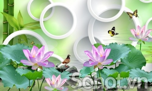 Tranh hoa sen 3d tranh ạch 3d hoa sen KJH6