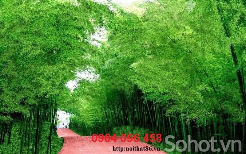 Mẫu tranh gạch 3d tre trúc - FXCXX4
