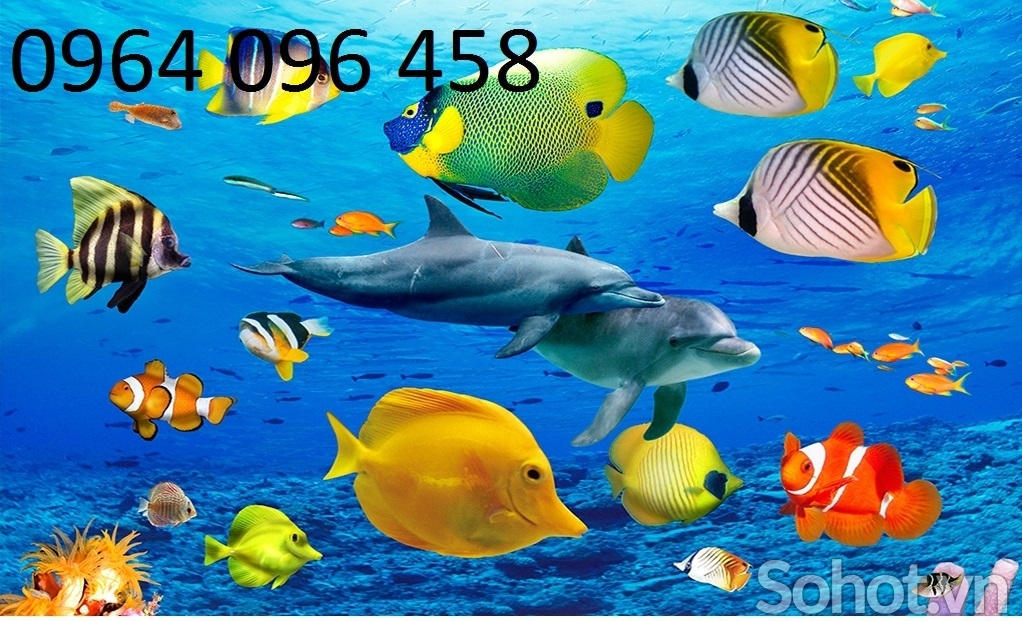 Tranh cá heo 3d - tranh gạch 3d cá heo - 7433XN