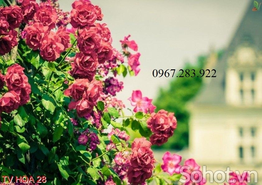 Tranh gạch- Tranh vườn hoa