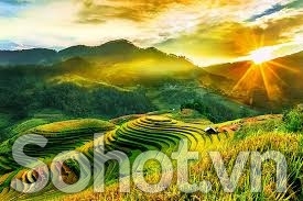 Tranh gạch 3d ruộng bậc thang - 222XM