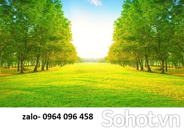 Tranh gạch 3d phong cảnh thiên nhiên - 668CBB