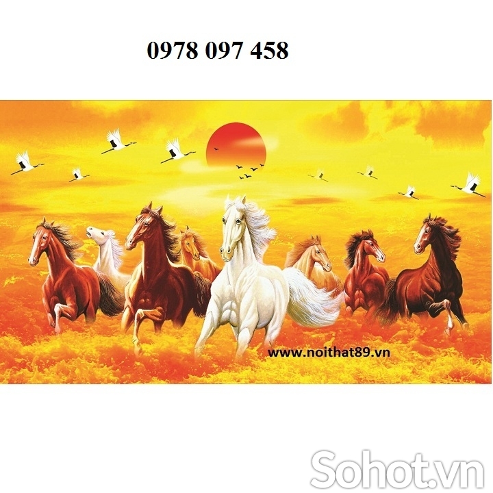 Gạch tranh mã đáo thành công