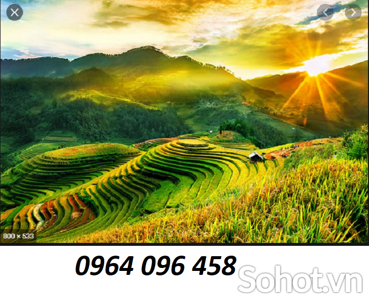 Tranh gạch 3d ruộng bậc thang - 222XM