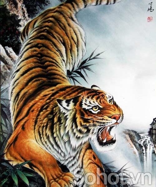 Tranh gạch 3d ốp tường tranh con hổ - XZS21