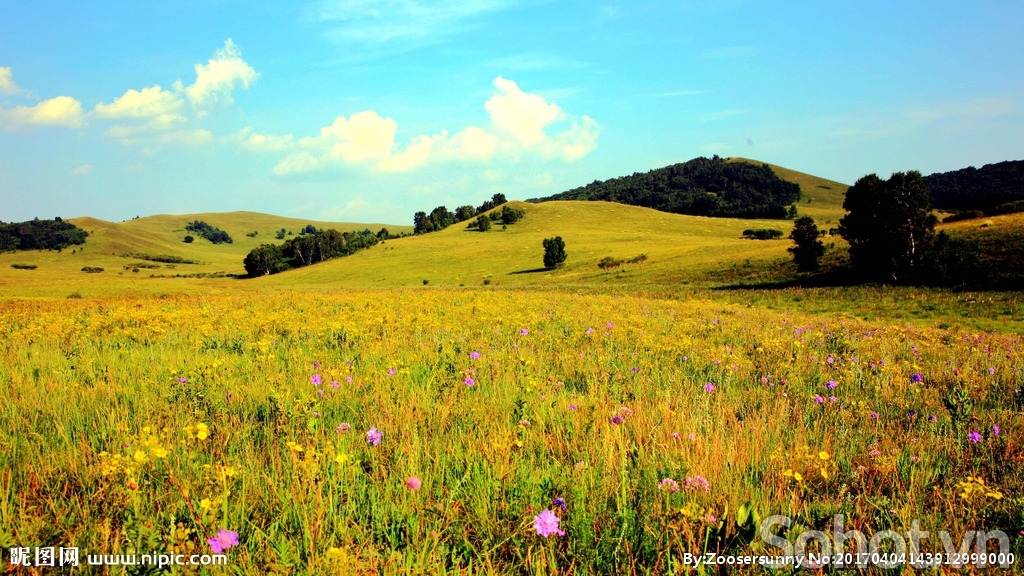 Tranh 3d - tranh gạch 3d - gạch tranh 3d - XBV94