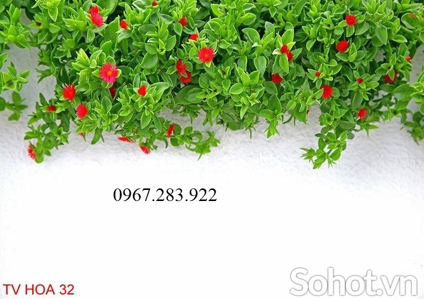 Tranh gạch- Tranh vườn hoa