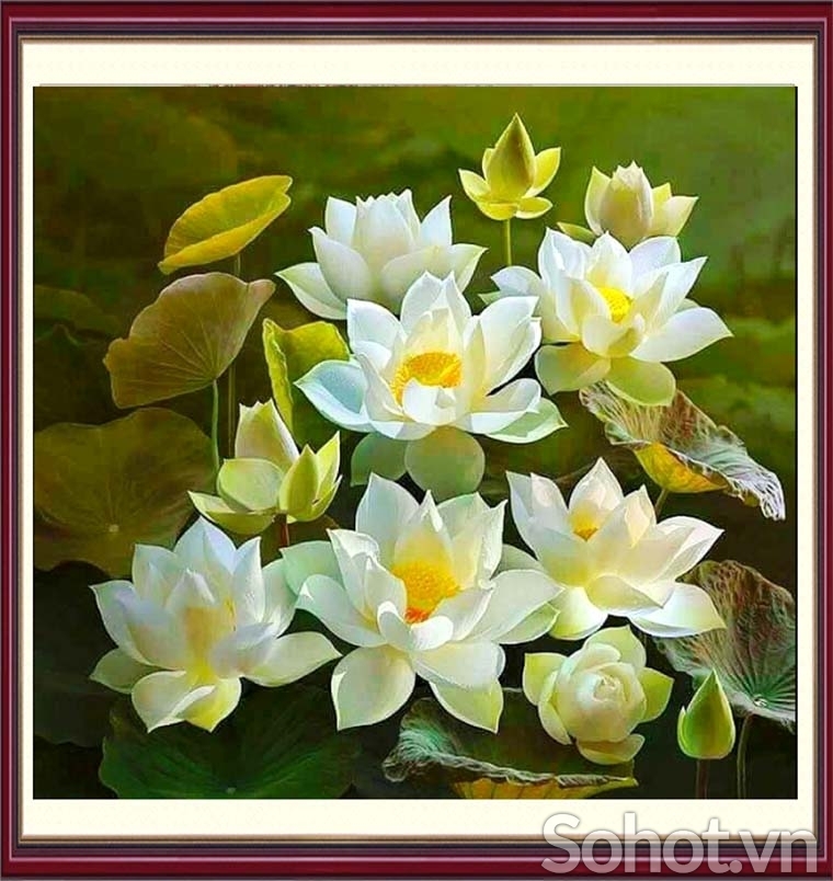 Tranh gạch men 3d hoa sen - DCMMN87