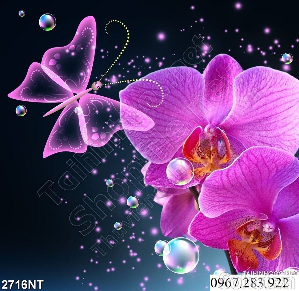 Tranh ốp tường hoạ tiết hoa lan 3d