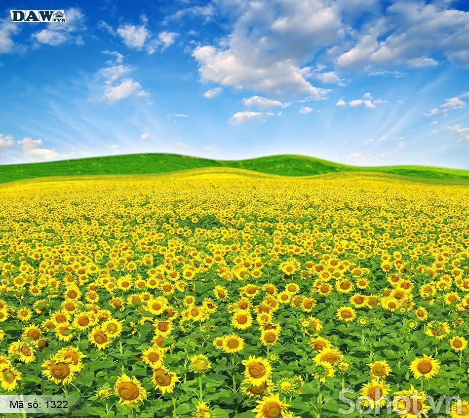 Tranh gạch 3d hoa cỏ đồng quê - SXNBN09