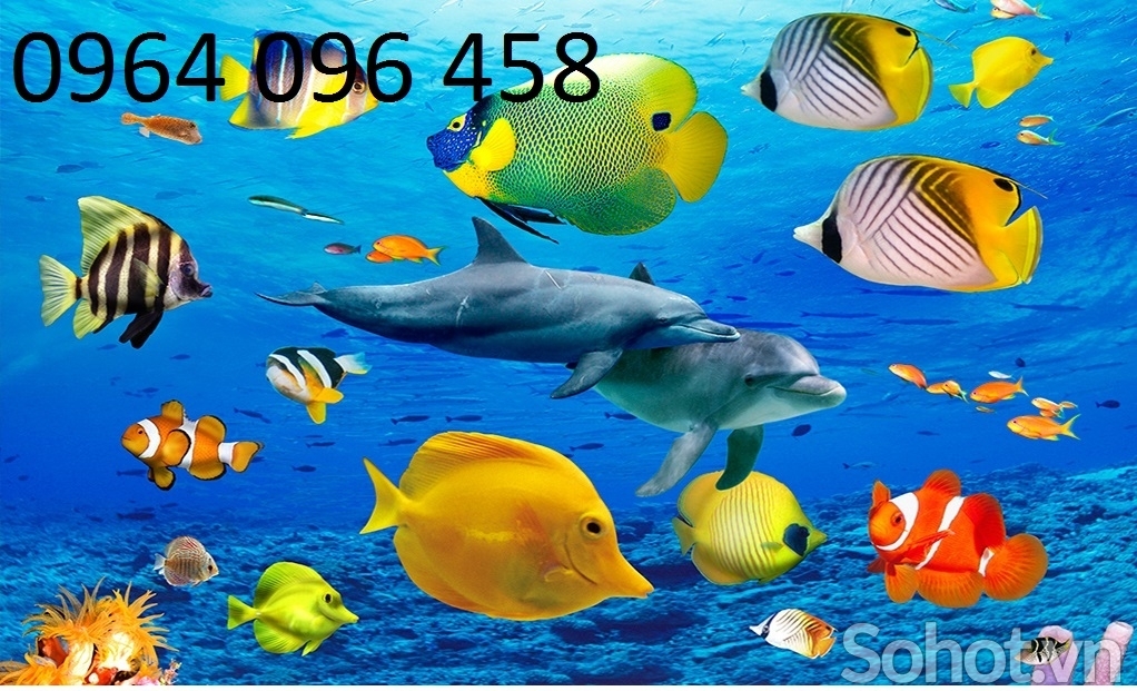 Tranh gạch 3d ốp tường phòng tắm - CVXC4