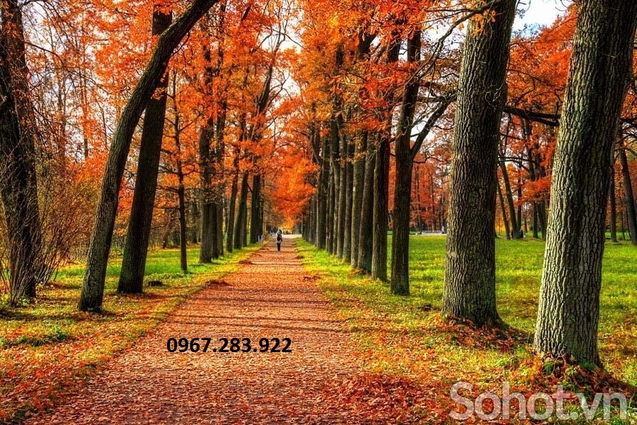 Gạch ốp tường 3D cảnh mùa thu