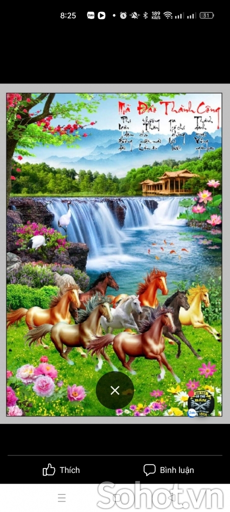 Tranh ngựa- Gạch tranh 3d