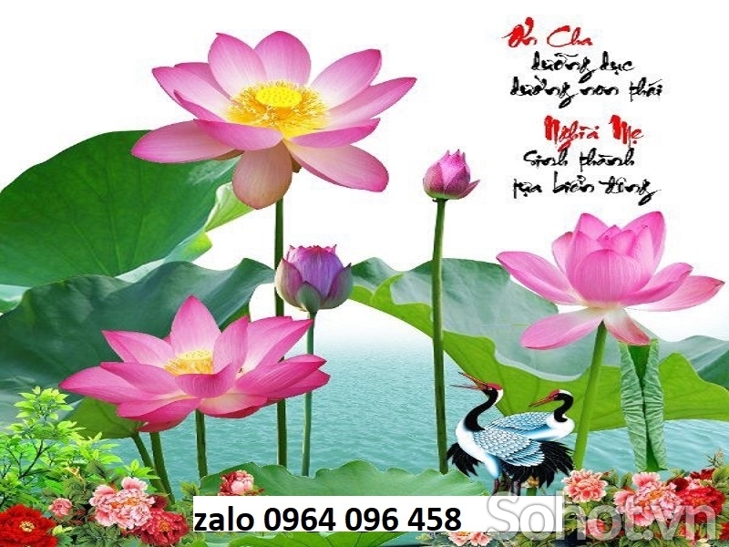 Tranh gạch 3d hoa sen - 123SC
