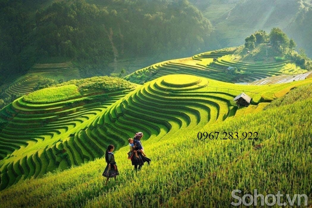 Tranh 3D- Tranh gạch đồng quê