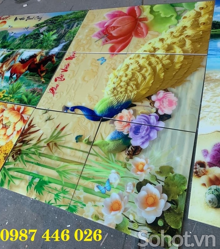 Gạch 3d tranh in chim công thực tế HP9772
