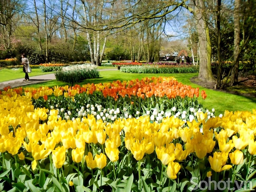 Tranh gạch 3d hoa cỏ thiên nhiên - 989BN