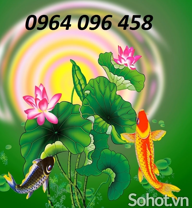 Tranh gạch 3d cá chép hóa rồng - 688VC