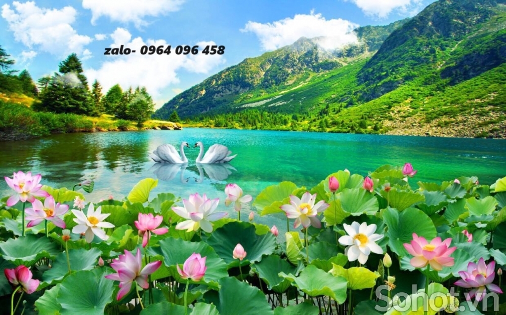 Tranh gạch hoa sen 3d - KCFD32