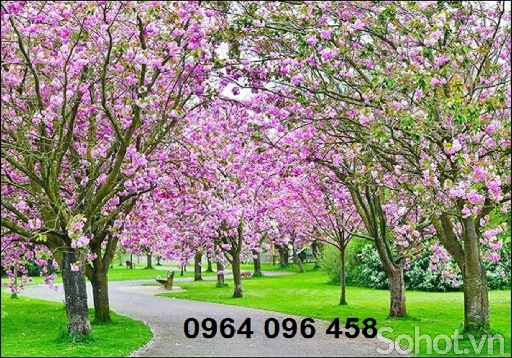 Gạch tranh cây đào 3d - MBV43