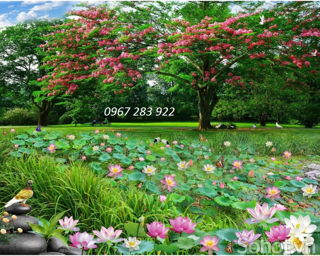 Tranh tường hoa sen trang trí sang trọng