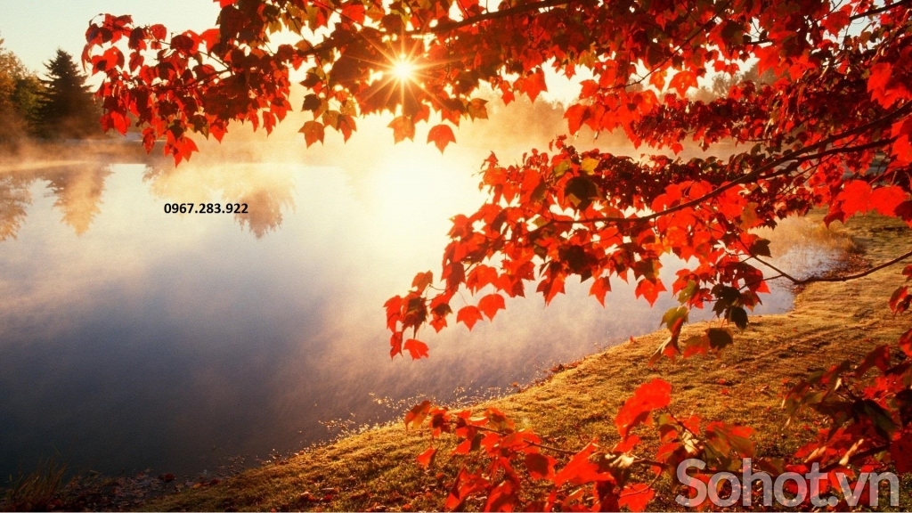 Tranh phong cảnh mùa thu lá đỏ- Tranh gạch - Hà Nội 