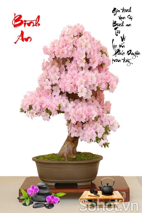 tranh gạch hoa đào 3d - FL90
