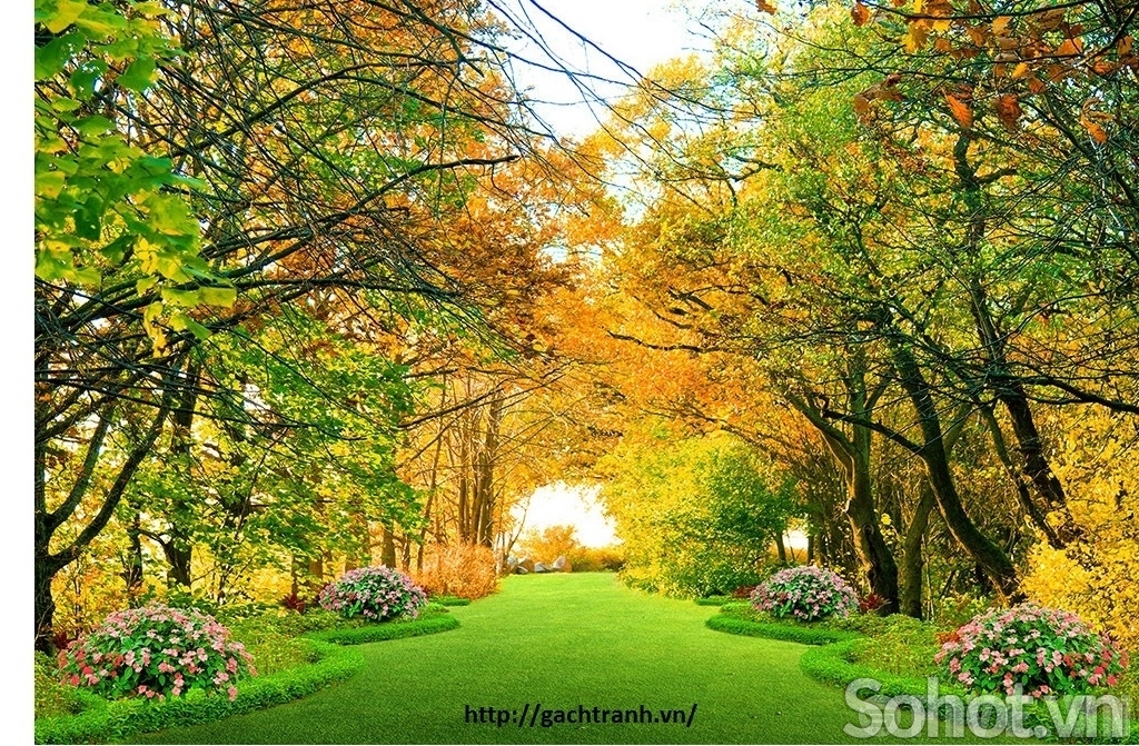 Tranh gạch rừng cây 3d - ADC733