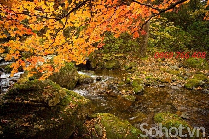 Tranh phong cảnh lá vàng-Gạch tranh mùa thu