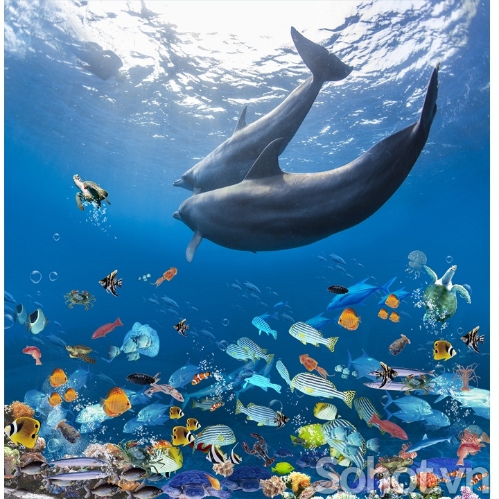 Tranh cá heo- gạch tranh 3D trang trí phòng