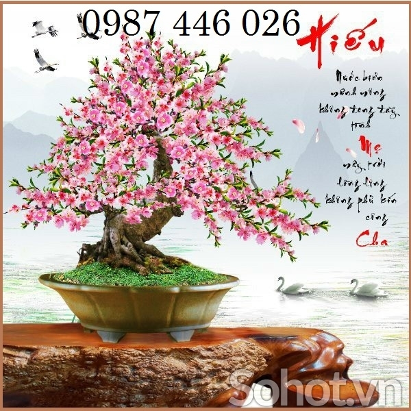 Tranh gạch hoa đào 3d HP7272