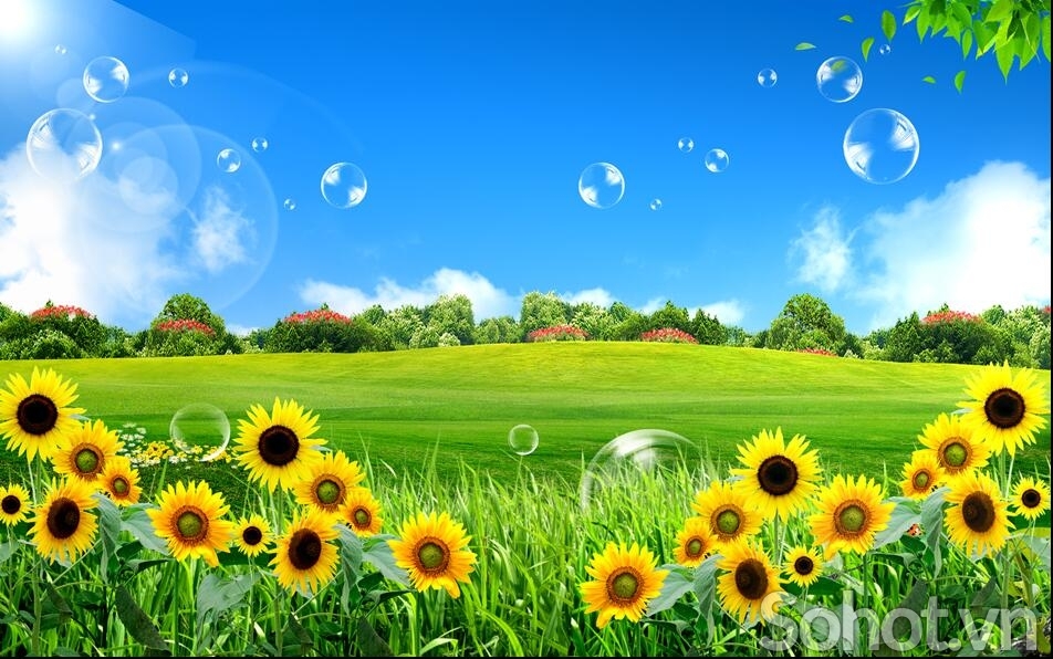 Tranh gạch 3d vườn hoa - KHC32