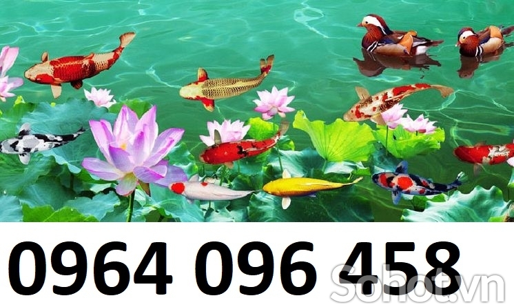 mẫu tranh gạch 3d cá chép phong thủy - 76SXM