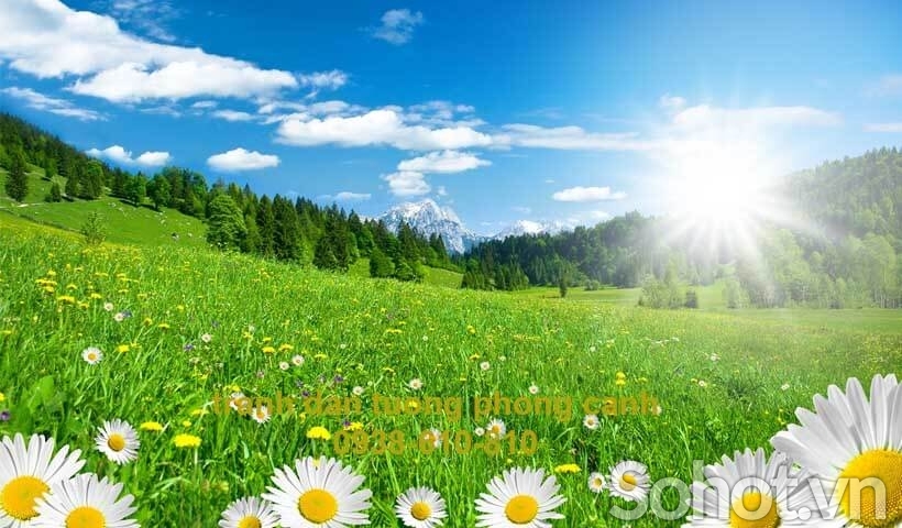 Tranh gạch 3d hoa cỏ đồng quê - SXNBN09