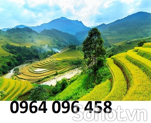 Tranh gạch 3d ruộng bậc thang - SXV887