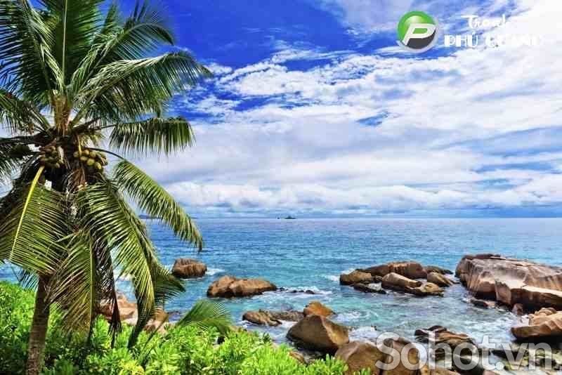 Tranh cảnh bờ biển cây dừa - gạch tranh 3d ốp tường - JFD32