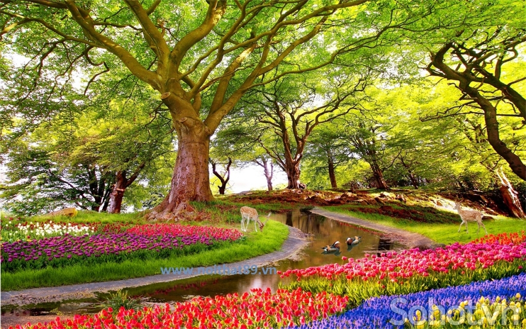 Tranh vườn hoa- gạch tranh 3D