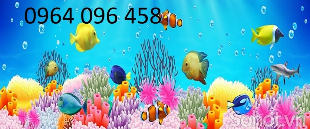 Tranh gạch 3d cá heo đại dương - 8555CN