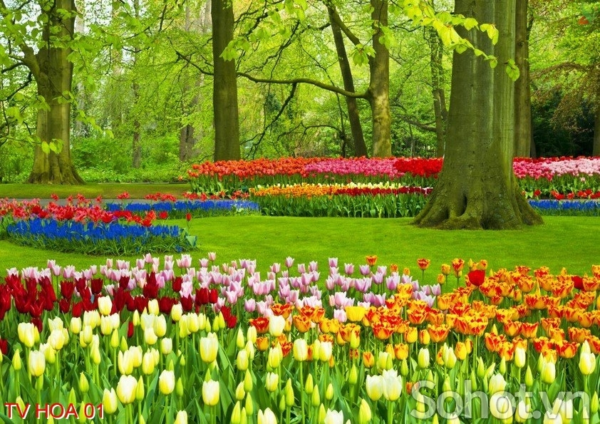 Tranh gạch vườn hoa 3d  - FCV43